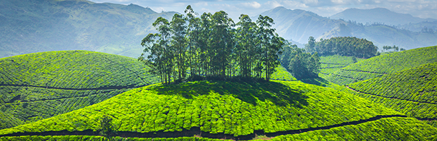 گروه GET ایران - 2419